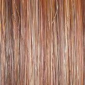 Always Wig by Raquel Welch | Large Heat Friendly Synthetic (Traditional Cap)