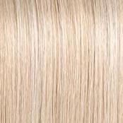 Always Wig by Raquel Welch | Large Heat Friendly Synthetic (Traditional Cap)