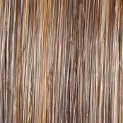 Always Wig by Raquel Welch | Large Heat Friendly Synthetic (Traditional Cap)