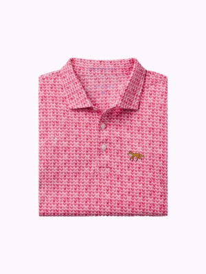 B.Draddy Commander Polo