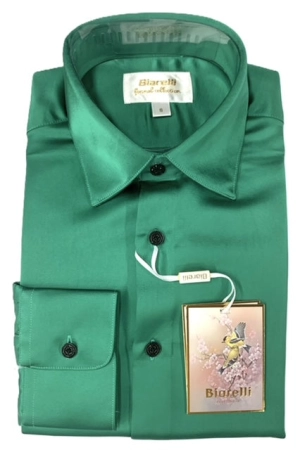 Bergamo Elegant BTX-96 Dress Shirt - Green