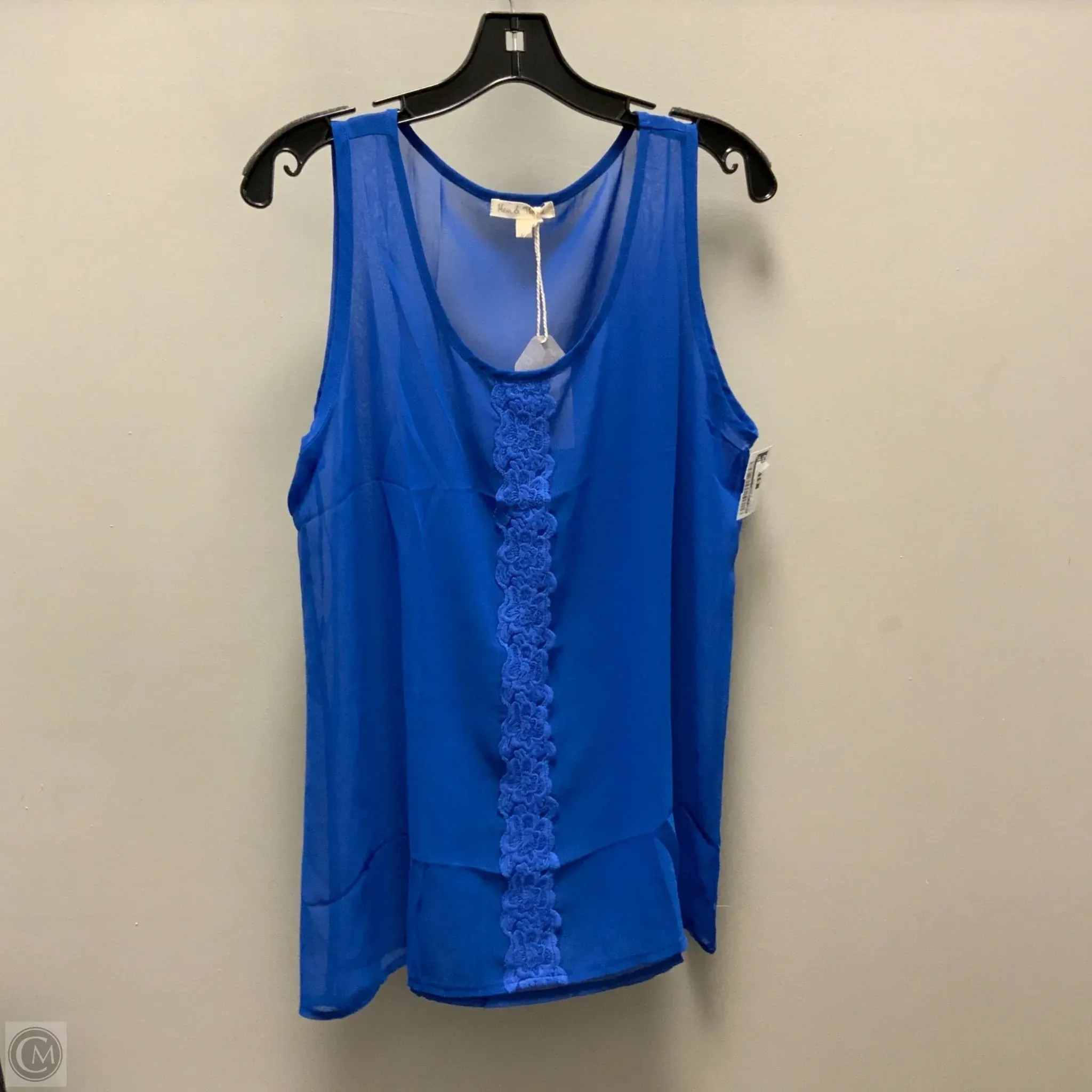 Blouse Sleeveless By Hem & Thread In Blue, Size: L