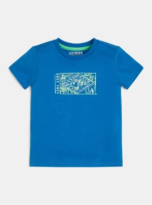 Blue Tree Logo T-Shirt (2-7)