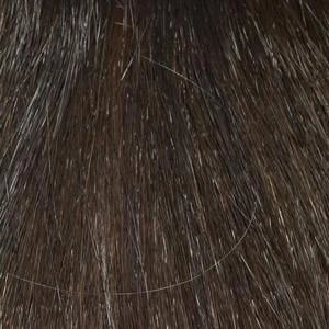Brittaney Wig by Envy | Synthetic (Lace Front Mono Top)