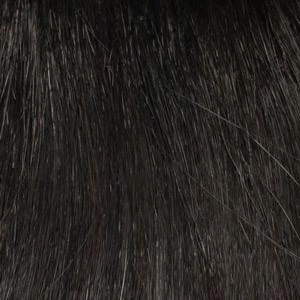 Brittaney Wig by Envy | Synthetic (Lace Front Mono Top)