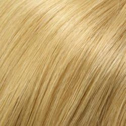 Carrie Wig by Jon Renau | Remy Human Hair - Lace Front Mono Top - Renau Colors