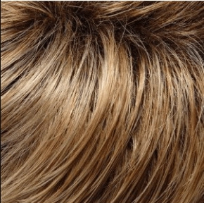 Carrie Wig by Jon Renau | Remy Human Hair - Lace Front Mono Top - Renau Colors