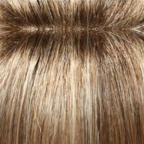 Carrie Wig by Jon Renau | Remy Human Hair - Lace Front Mono Top - Renau Colors