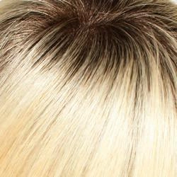Carrie Wig by Jon Renau | Remy Human Hair - Lace Front Mono Top - Renau Colors