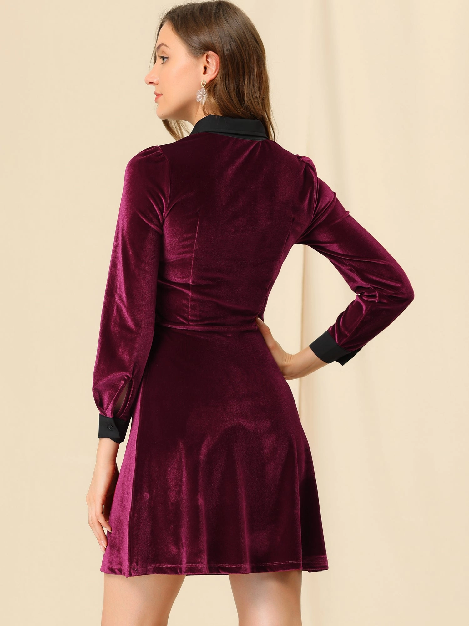 Contrast Collar A-Line Party Long Sleeve Vintage Velvet Dress