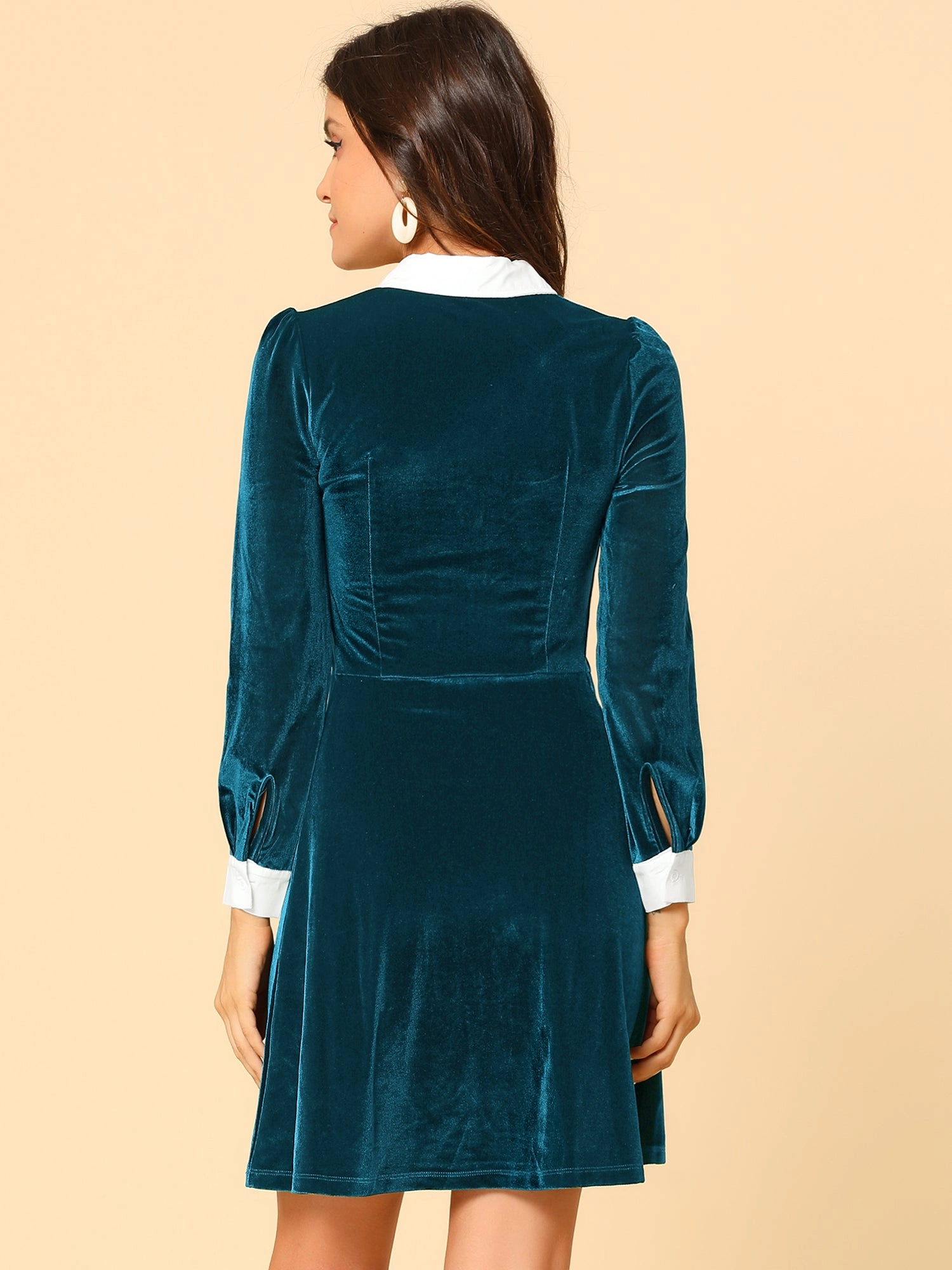 Contrast Collar A-Line Party Long Sleeve Vintage Velvet Dress