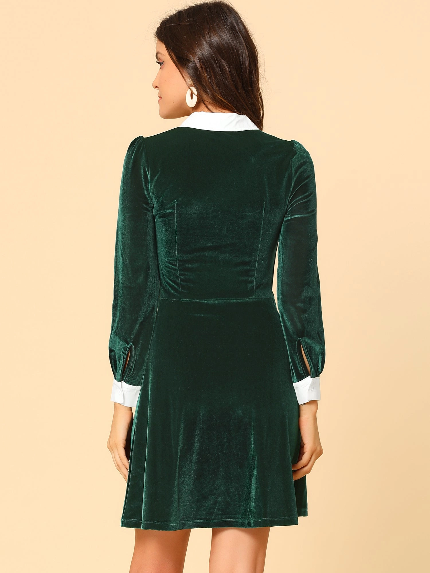 Contrast Collar A-Line Party Long Sleeve Vintage Velvet Dress