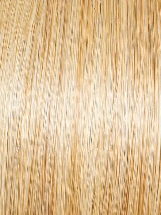 Elation Wig by Gabor | Heat Friendly Synthetic (Basic Cap)