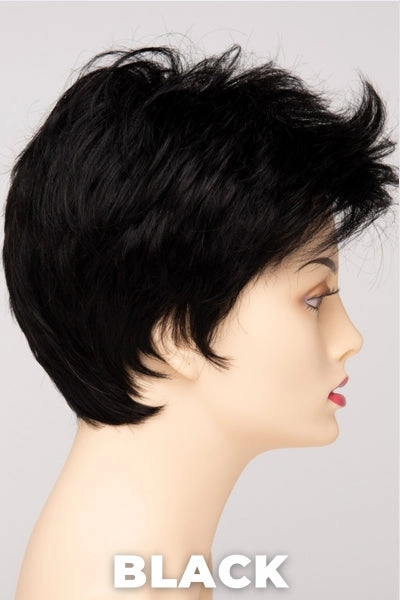 Envy Wigs - Raven