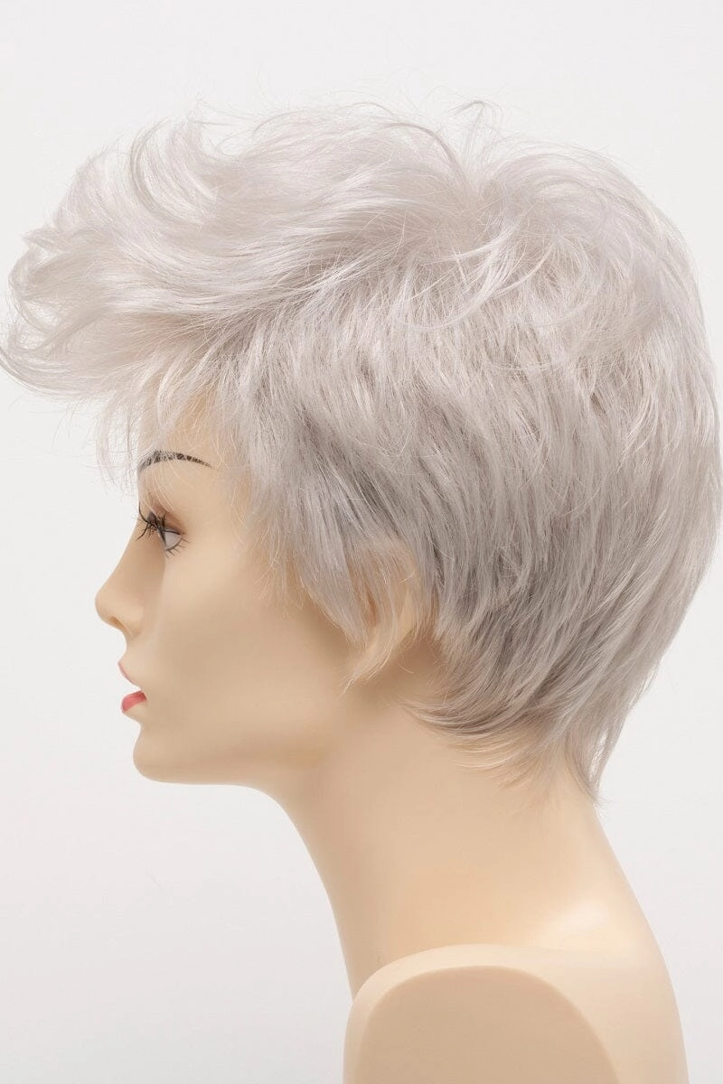 Envy Wigs - Raven