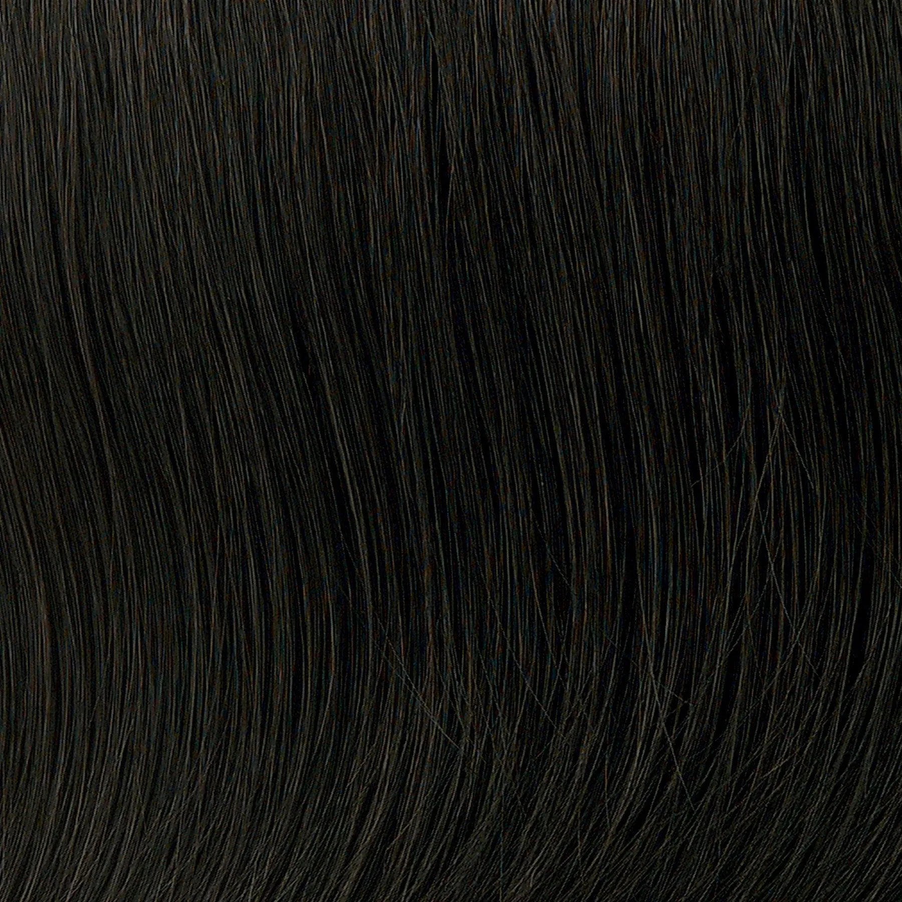 Exceptional You Wig by Toni Brattin | Synthetic (Plus Cap)