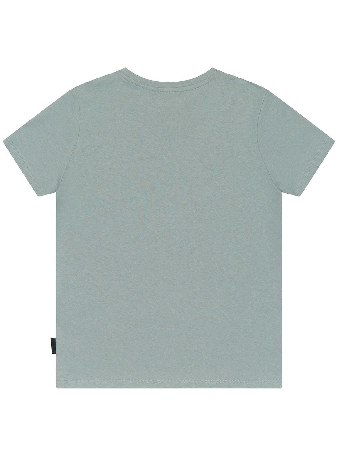 Green Grey Short Sleeves T-Shirt