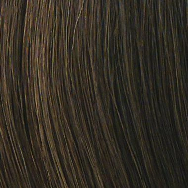Power Wig by Raquel Welch | Synthetic (Traditional Cap)