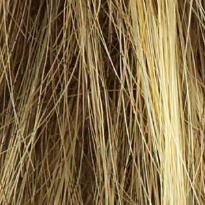 Salsa Wig by Raquel Welch | Synthetic (Traditional Cap)