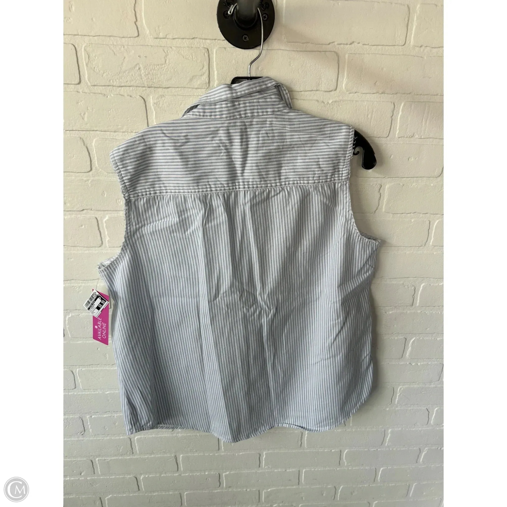 Top Sleeveless By Clothes Mentor In Blue & White, Size: L
