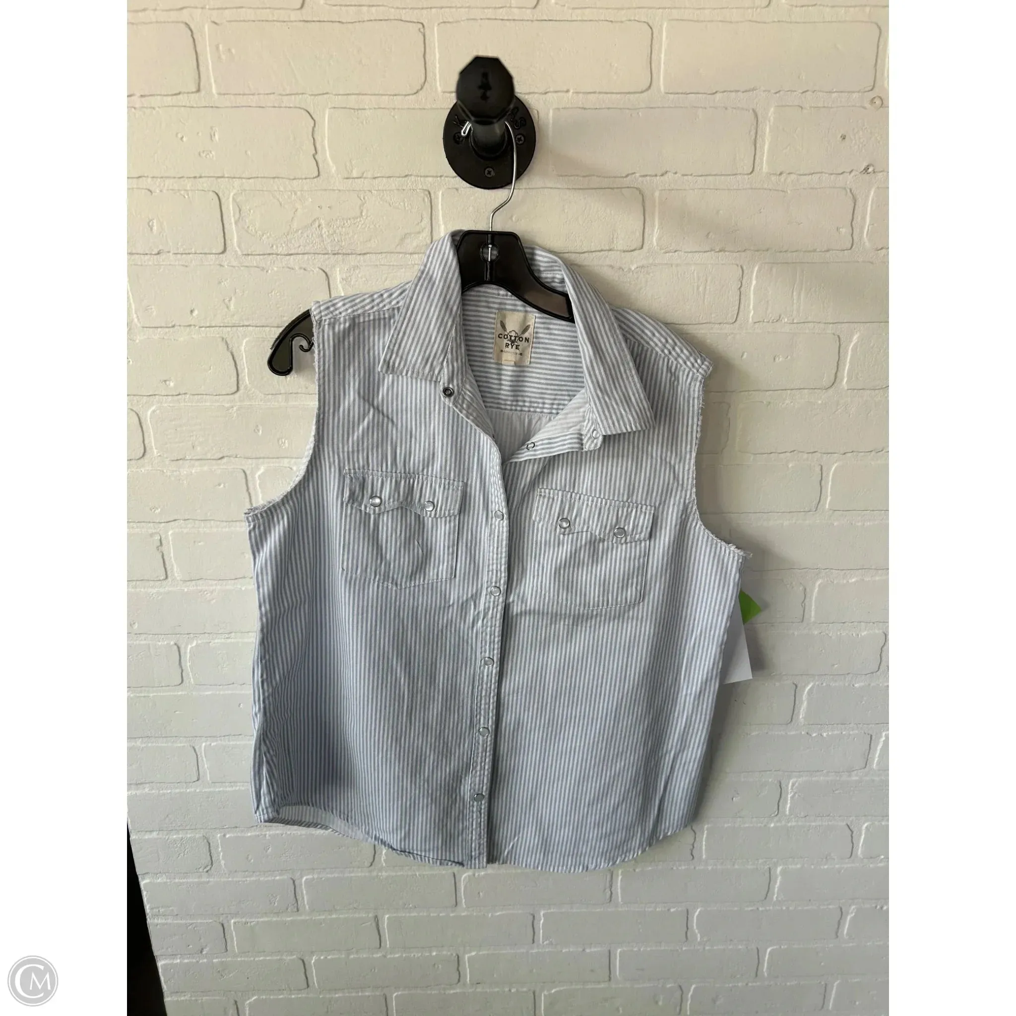 Top Sleeveless By Clothes Mentor In Blue & White, Size: L
