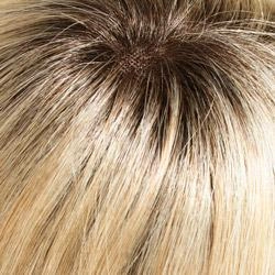Top Style 18" Human Hair Addition by Jon Renau | 100% Remy Human Hair - Monofilament Base