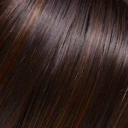 Zara Large Wig by Jon Renau | Synthetic (Lace Front Mono Top)